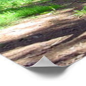 大聖堂木間ゲージ写真シュールレアリスアールアート ポスター (角)