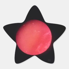 大胆さと逆境 星シール