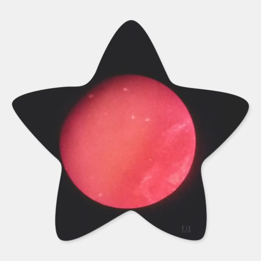 大胆さと逆境 星シール (正面)