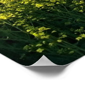 大胆なポやる気を起こさせるスタープリント ポスター (角)