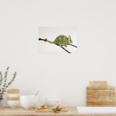 大胆な色のカメレオンと特徴2 ポスター (キッチン)