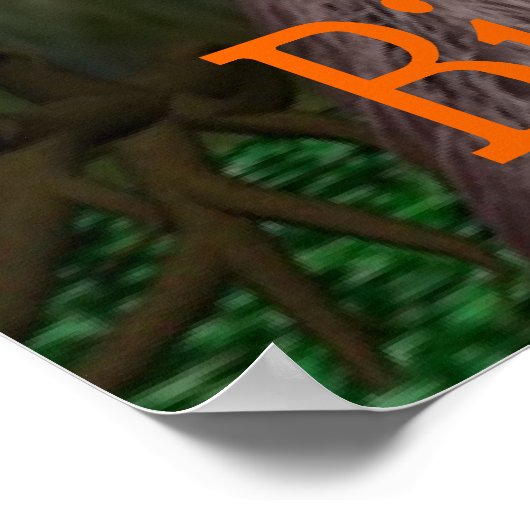 大脚 ポスター (角)