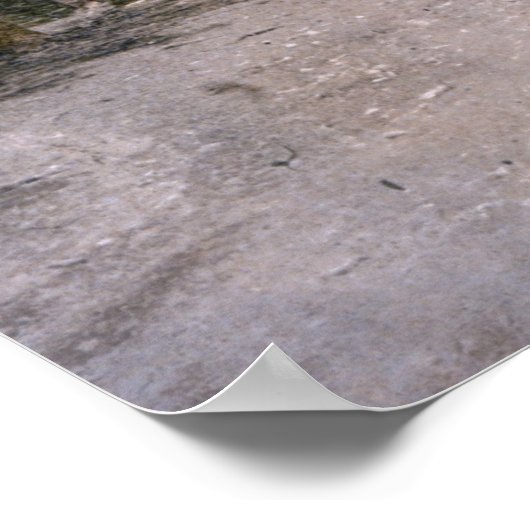 大脳 ポスター (角)