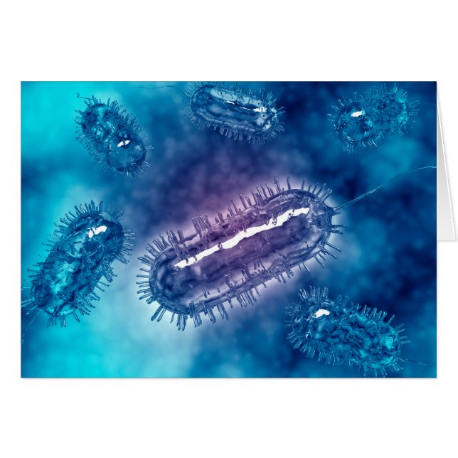 大腸菌群1 (正面横)