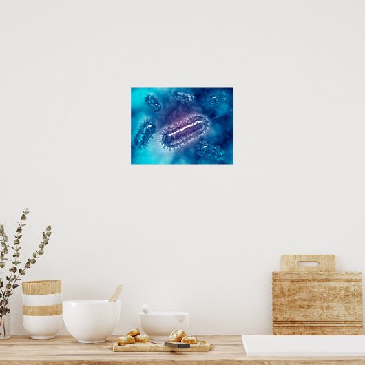 大腸菌群1 ポスター (キッチン)