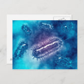 大腸菌群1 ポストカード (正面/裏面)