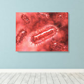 大腸菌群2 キャンバスプリント (インサイチュ (ウッドフロア))