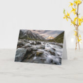 大良木山調理師国立公園 |ニュージーランド カード (黄色い花)