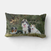 大草原の犬カスタムたち2枚の写真 ランバークッション (裏面)