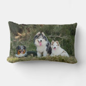 大草原の犬カスタムたち2枚の写真 ランバークッション (正面)