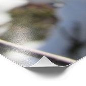 大草原の花 フォトプリント            (角)