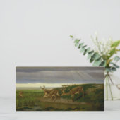 大草原の鹿（ウィリアム・ホルブルック・ヒゲ） カード (スタンド正面)