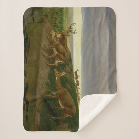 大草原の鹿(ウィリアム・ホルブルック・ヒゲ) シェルパブランケット (正面)