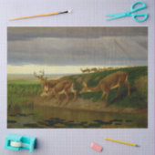 大草原の鹿(ウィリアム・ホルブルック・ヒゲ) 薄葉紙 (クラフト)