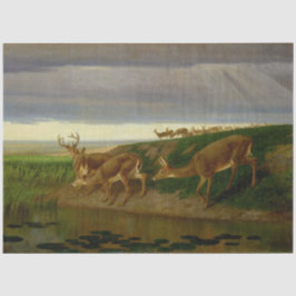 大草原の鹿(ウィリアム・ホルブルック・ヒゲ) 薄葉紙