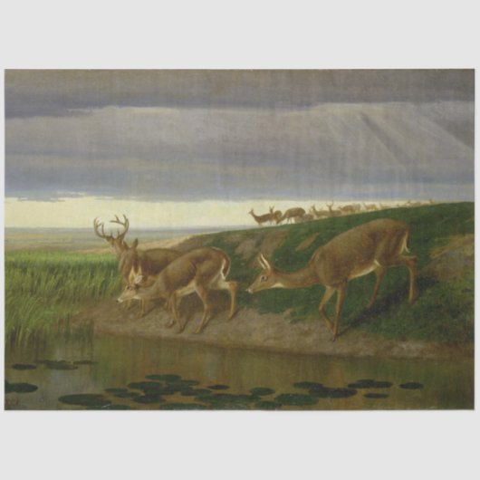 大草原の鹿(ウィリアム・ホルブルック・ヒゲ) 薄葉紙 (正面)
