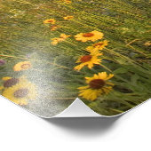 大草原ワイルドフラワーズアットウィンディクリークin the Many フォトプリント (角)