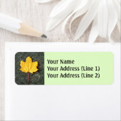 大落ちた黄色/オレンジの秋の木の葉 ラベル (インサイチュ)