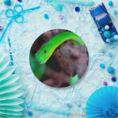 大蛇のヘビ ペーパープレート (パーティー)