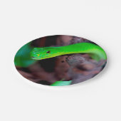 大蛇のヘビ ペーパープレート (アングル)