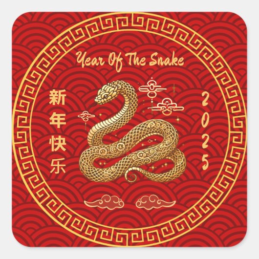 大蛇中国のの年 スクエアシール (正面)