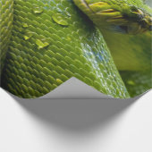 大蛇 ラッピングペーパー (角)