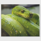 大蛇 ラッピングペーパー (フラット)