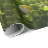 大蛇 ラッピングペーパー (ロールコーナー)