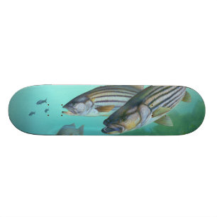 大西洋のシマスズキの魚のMorone Saxatilis スケートボード