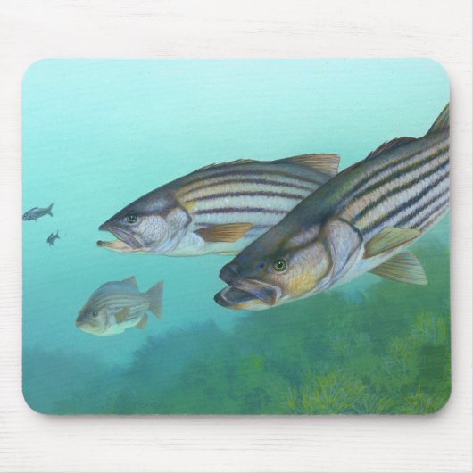 大西洋のシマスズキの魚のMorone Saxatilis マウスパッド (正面)