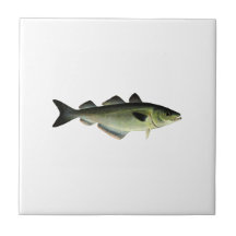 大西洋のスケトウダラ