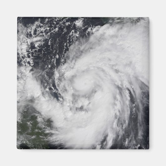 大西洋のハリケーンウィルマカリブのと マグネット (正面)