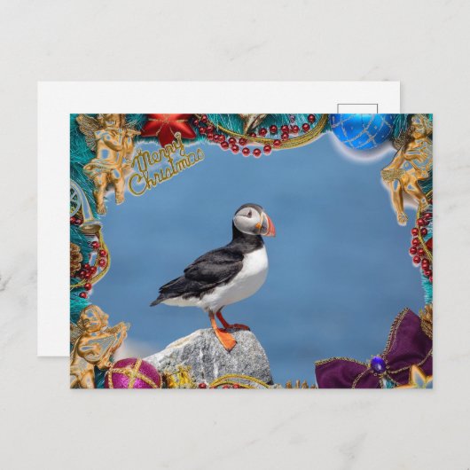 大西洋のパフィンのクリスマスカード シーズンポストカード (正面/裏面)
