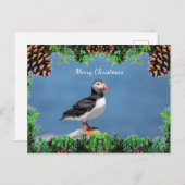 大西洋のパフィンのクリスマスカード シーズンポストカード (正面/裏面)