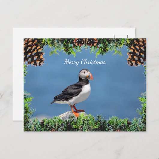 大西洋のパフィンのクリスマスカード シーズンポストカード (正面/裏面)