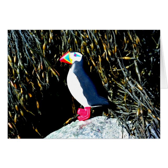 大西洋のパフィンカード (正面横)