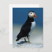 大西洋のポートレート ポストカード (正面/裏面)