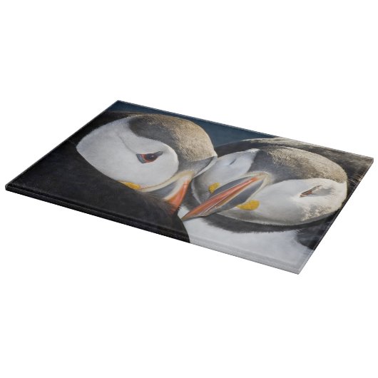 大西洋の水鳥 カッティングボード (角)