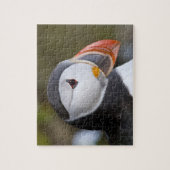 大西洋の水鳥 ジグソーパズル (縦)