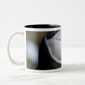 大西洋の水鳥 ツートーンマグカップ (左)