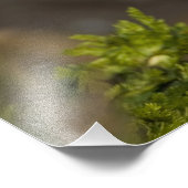 大西洋の水鳥 フォトプリント            (角)