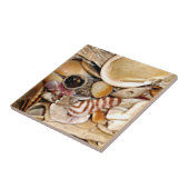 大西洋の海の貝 タイル (側面)