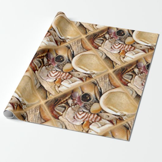 大西洋の海の貝 ラッピングペーパー (アンロールド)