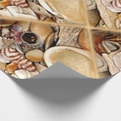 大西洋の海の貝 ラッピングペーパー (角)