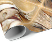 大西洋の海の貝 ラッピングペーパー (ロールコーナー)