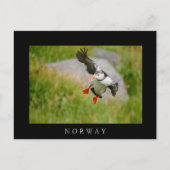 大西洋ふふふ飛んでいるふちの黒い縁どはがき ポストカード (正面)