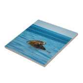 大西洋アザラシ タイル (側面)