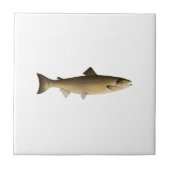 大西洋サケ タイル (正面)