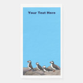 大西洋パフィン (正面)