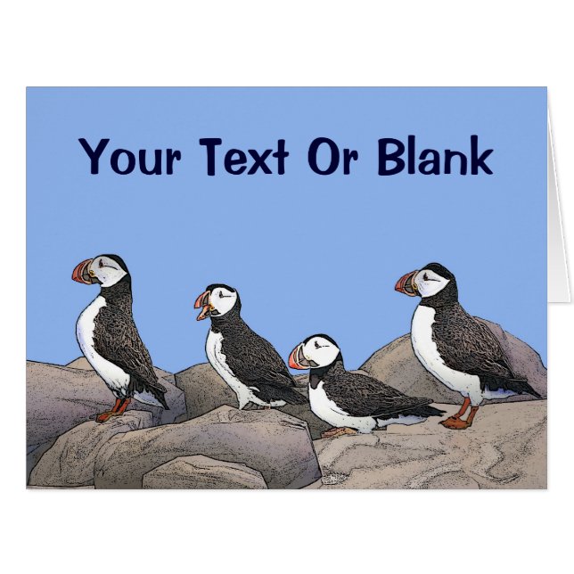 大西洋パフィン (正面横)